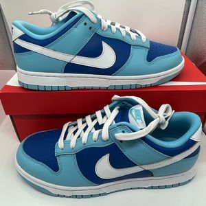 Brand new Nike dunks low